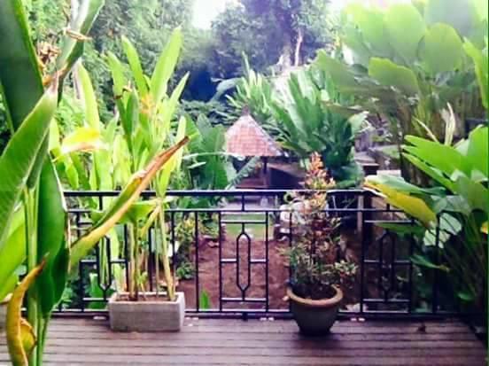 Kerta Family Bed And Breakfast Ουμπούντ Εξωτερικό φωτογραφία